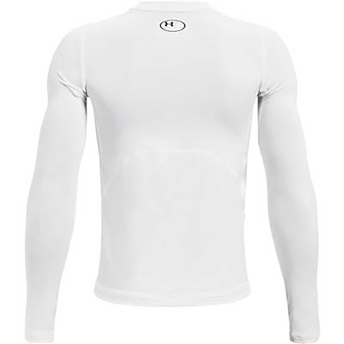 UA HEATGEAR ARMOUR LONG SLEEVE メンズ ヒートギア