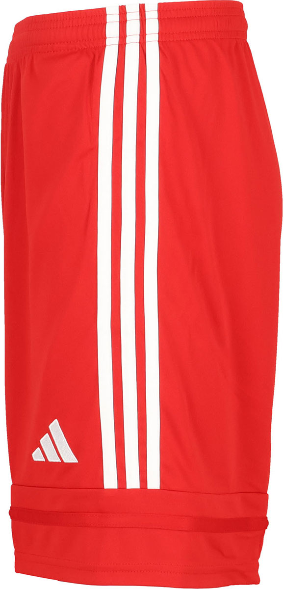 カスタム スクアドラ 25 ショーツ