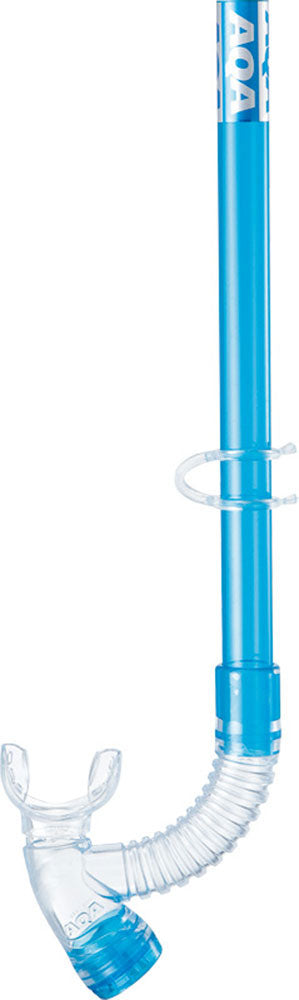 ビキシーVライト2