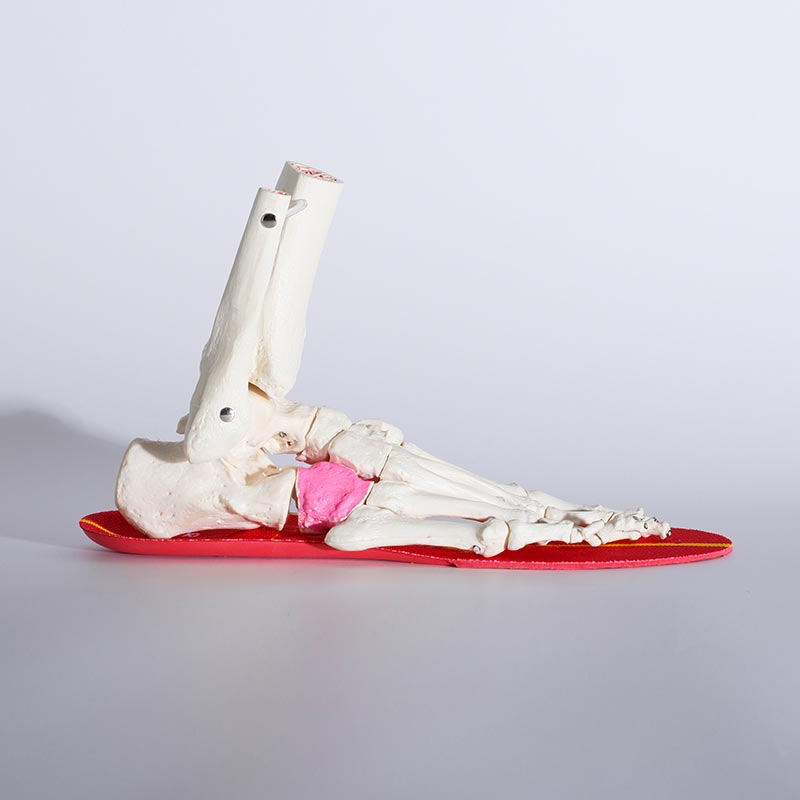 サッカー用インソール カルパワーストライカー レッド 薄型モデル 中敷き