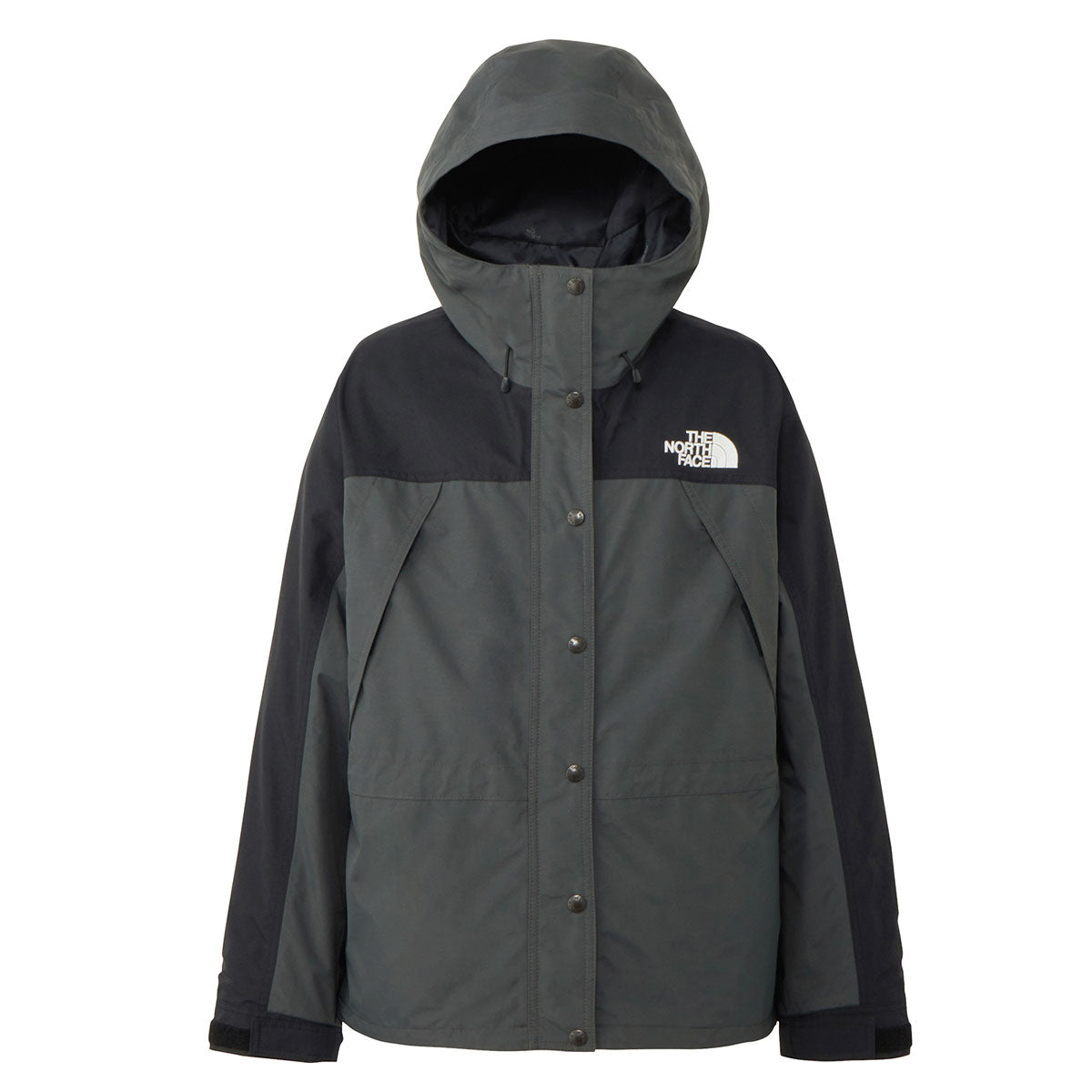 THE NORTH FACE GORE-TEX ジャケット ￼レディース ノース