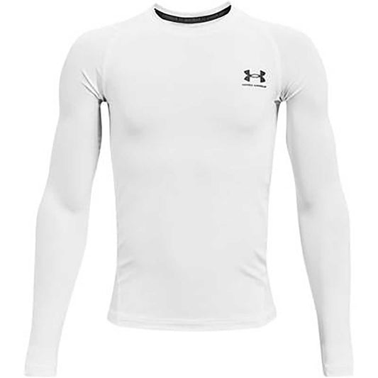 UA HEATGEAR ARMOUR LONG SLEEVE メンズ ヒートギア