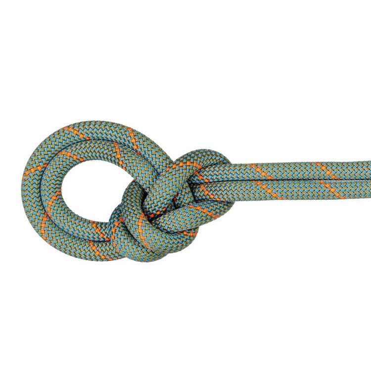 9.9 Crag Workhorse Dry Rope クライミング 登山 ロープ