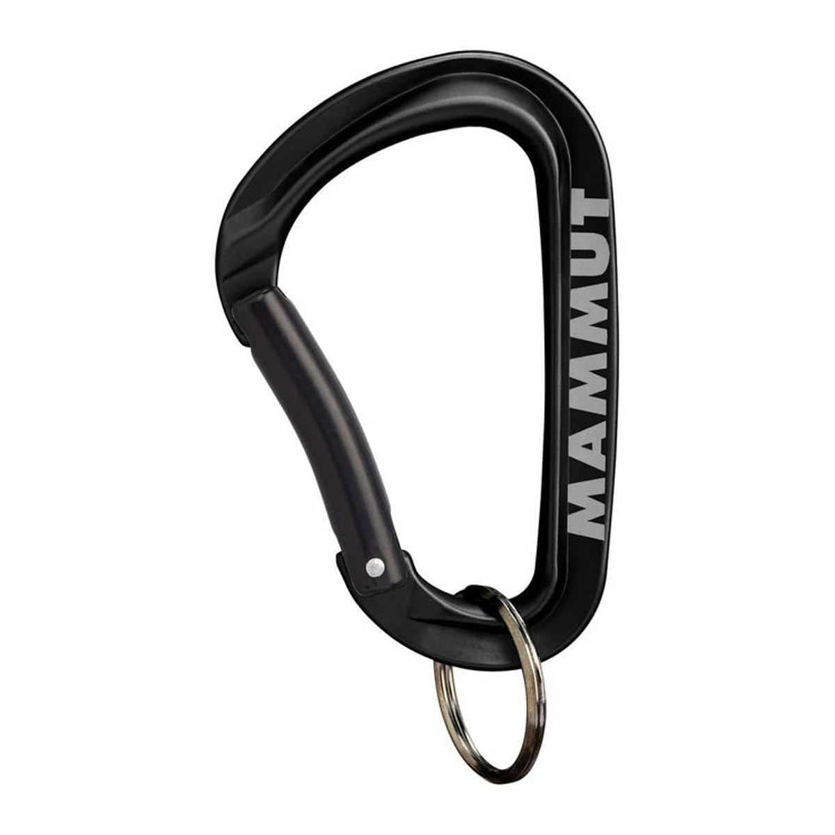 カラビナ Mini Carabiner Workhorse Keylock L アウトドア