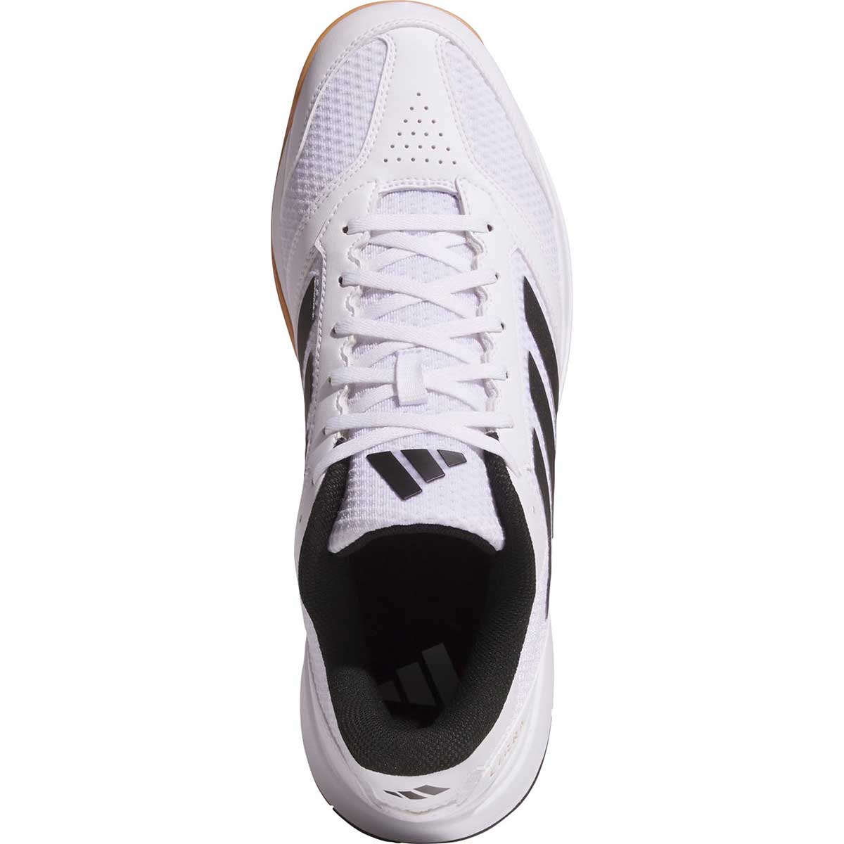 メンズ ハンドボール・ドッジボールシューズ Ligra 8 インドア / Ligra 8