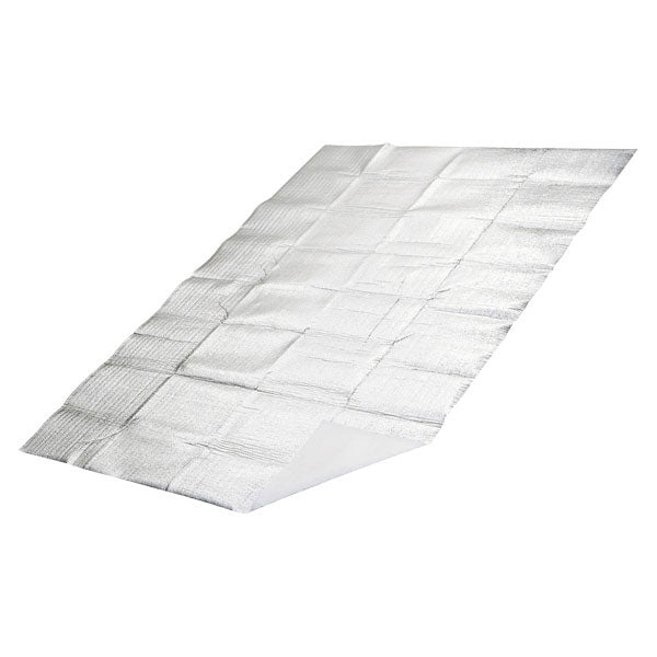 シルバーキャンピングシート2ジョウ