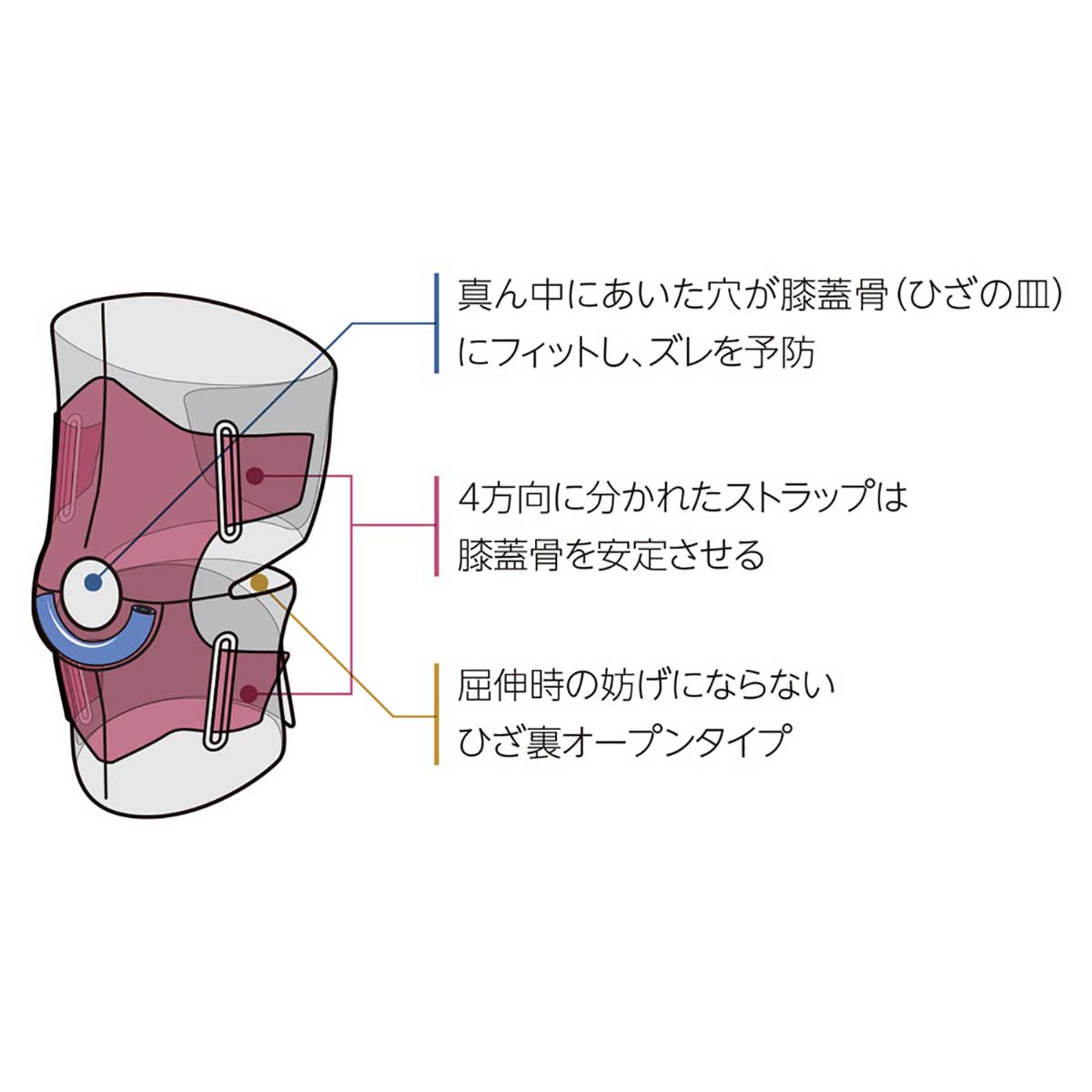 ４ＷＡＹ アジャスタブルニー 55308-09