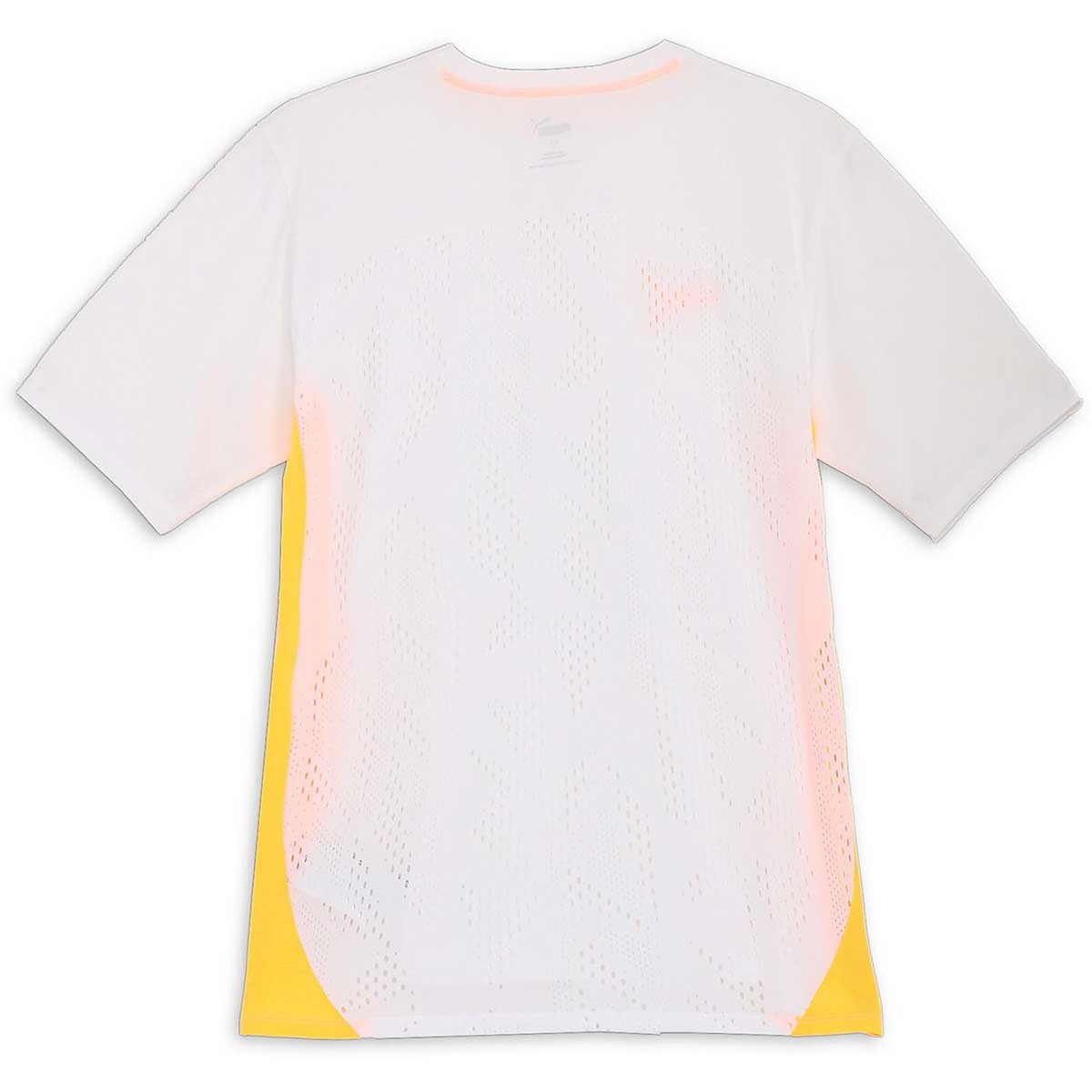 メンズ サッカートレーニングウェア individual PUMAftbl ULTIMAT