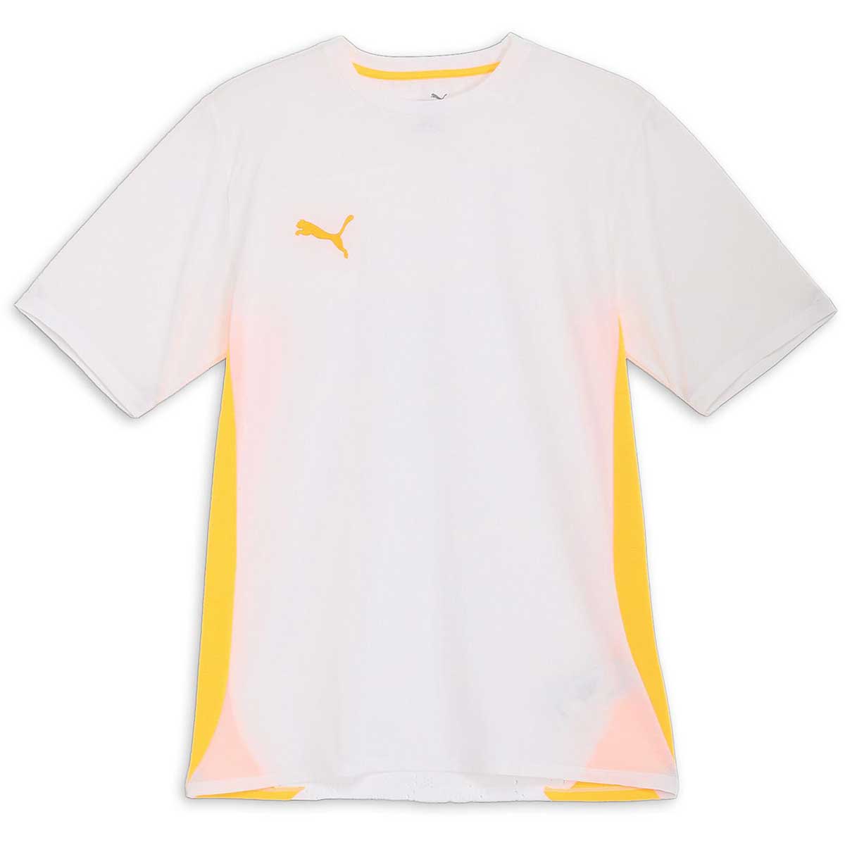 メンズ サッカートレーニングウェア individual PUMAftbl ULTIMAT