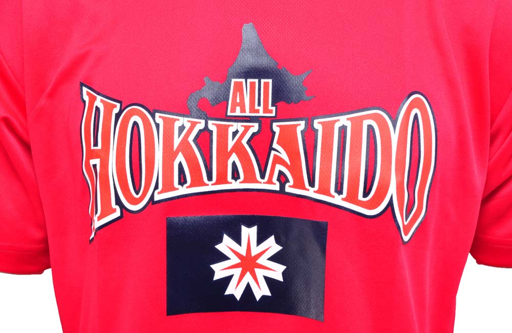 Long sleeve T-shirt, basketball wear, Hokkaido exclusive, original