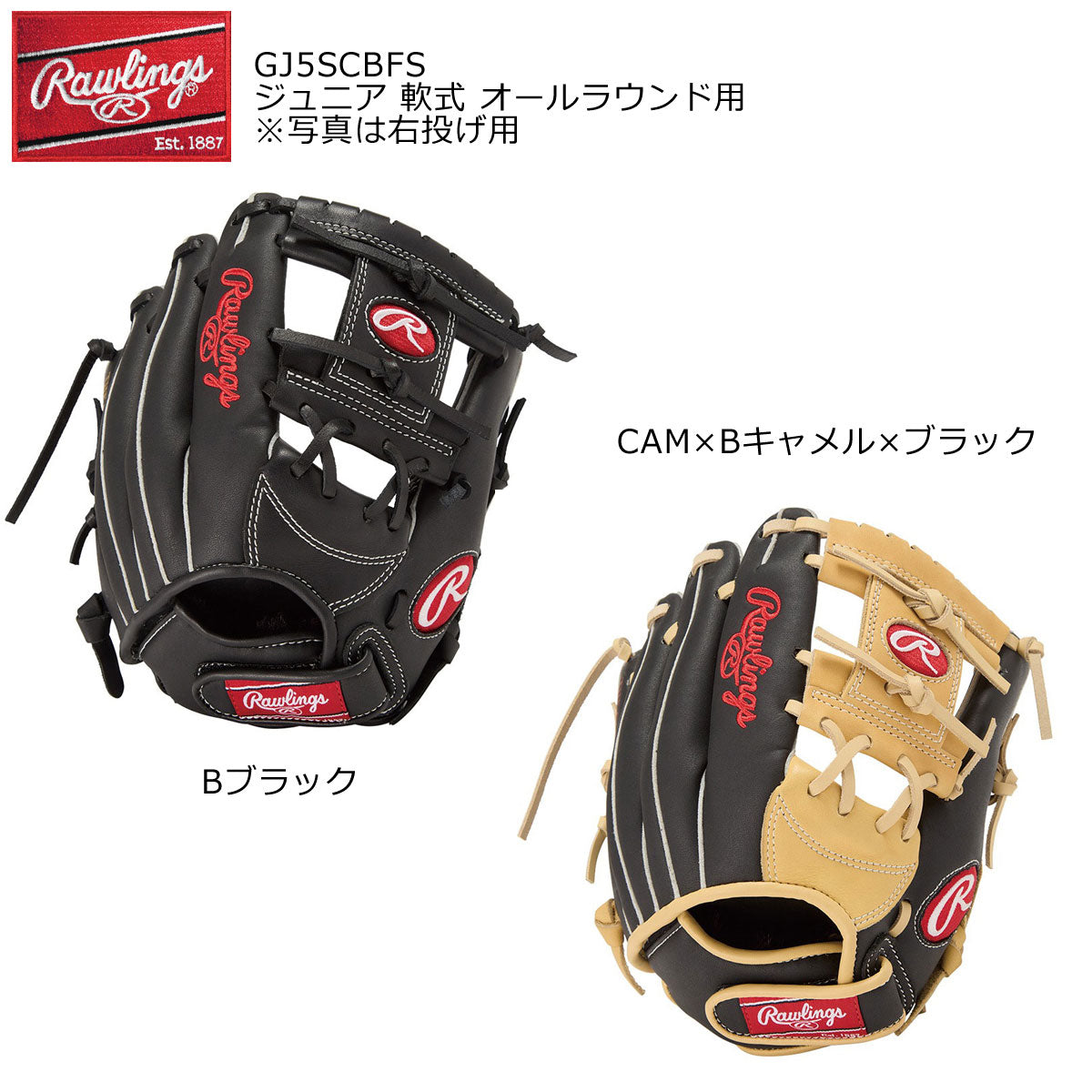 ジュニア シュア キャッチ BFS CAM/B-RH ジュニア オールラウンド用