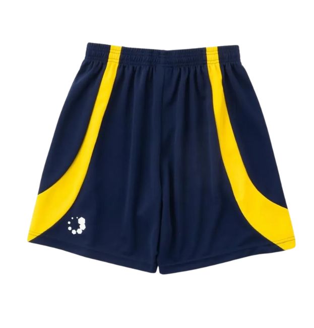 ゲームパンツ VICTORY HB Game Pants_VICTORY