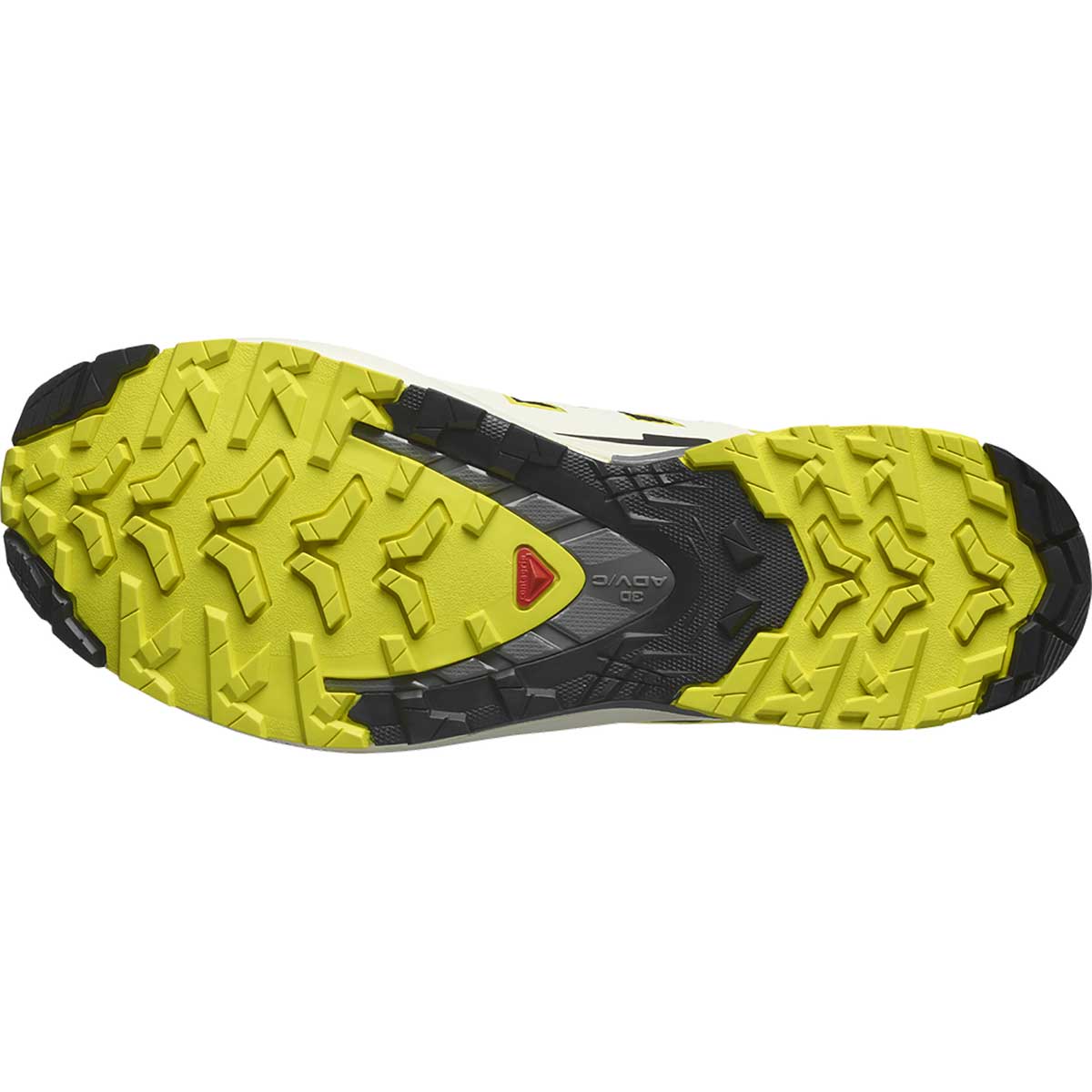 MENS XA PRO 3D V9 GTX Men's Trail Running Shoes