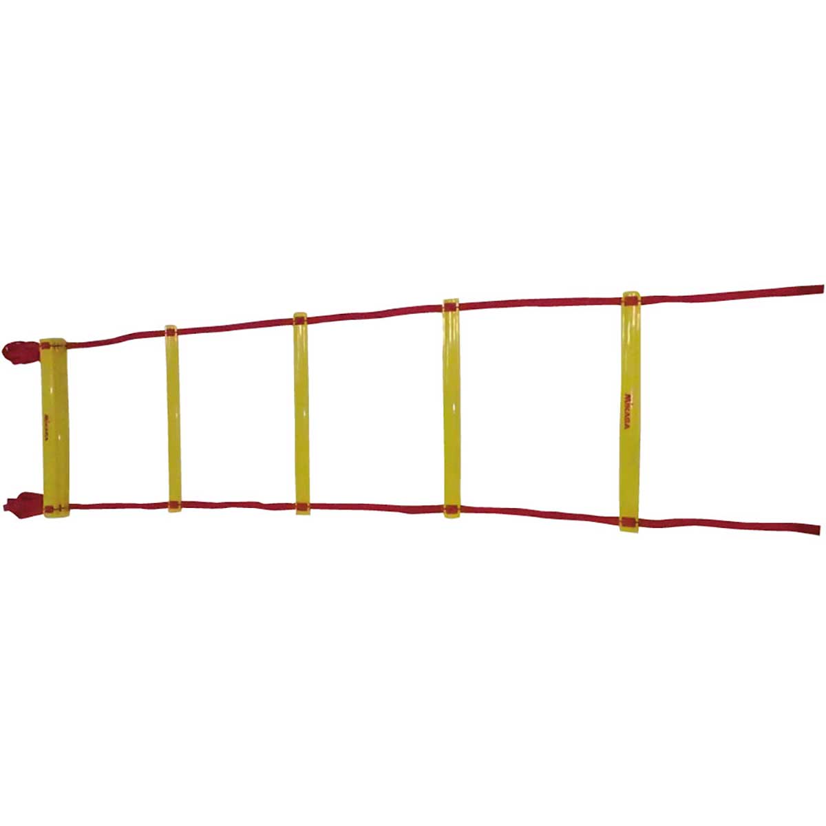 Equipment Ladder Trainer