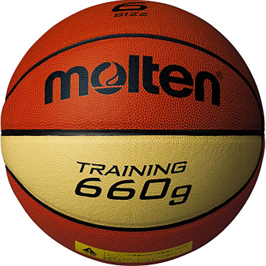 Training ball No. 7 9066