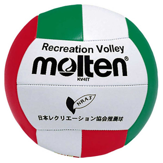 Recreational Volleyball