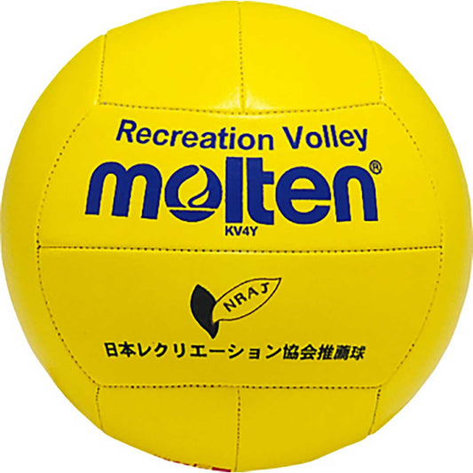 Recreational Volleyball