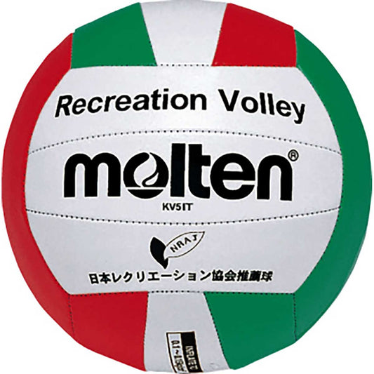 Recreational Volleyball