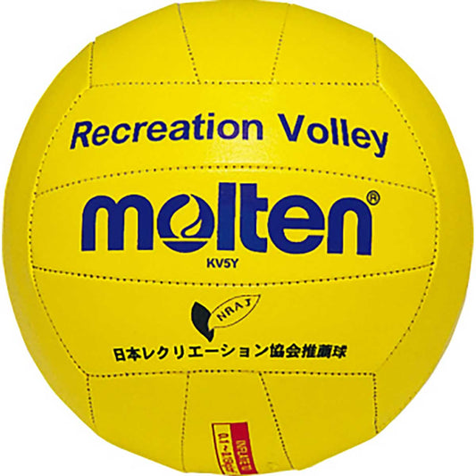 Recreational Volleyball