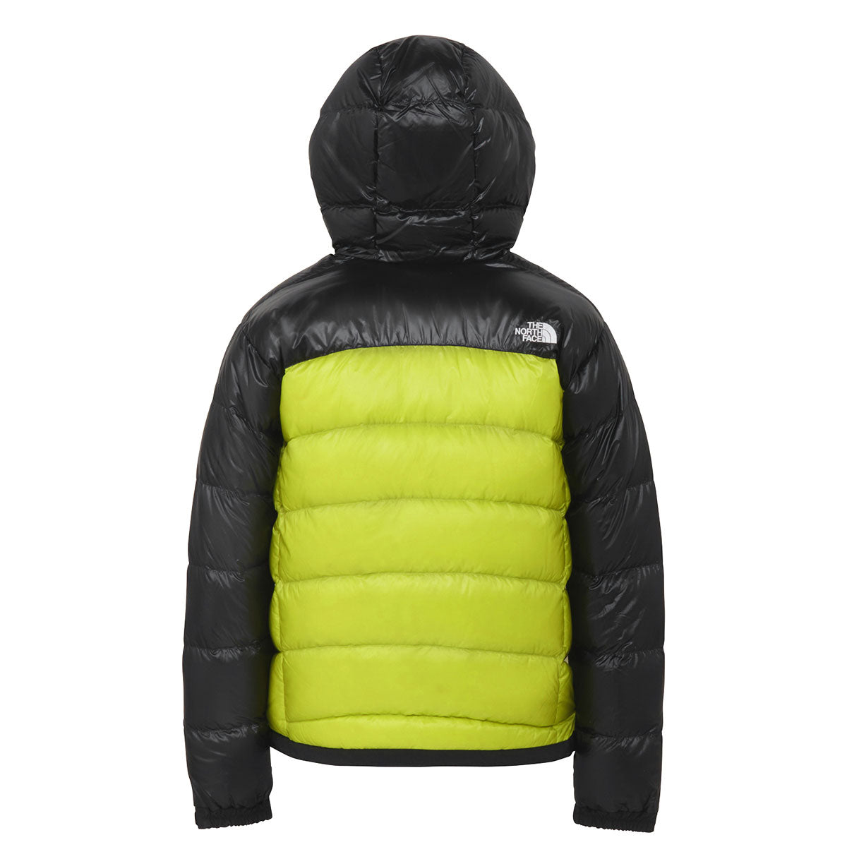 アコンカグアフーディー メンズ ダウンジャケット ダウン アウター アウトドア 防寒