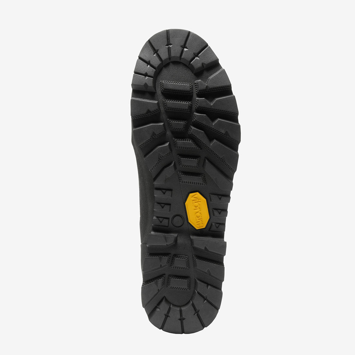 TNF レイン ロー ゴアテックス シューズ アウトドア 防水透湿 トレッキング 靴