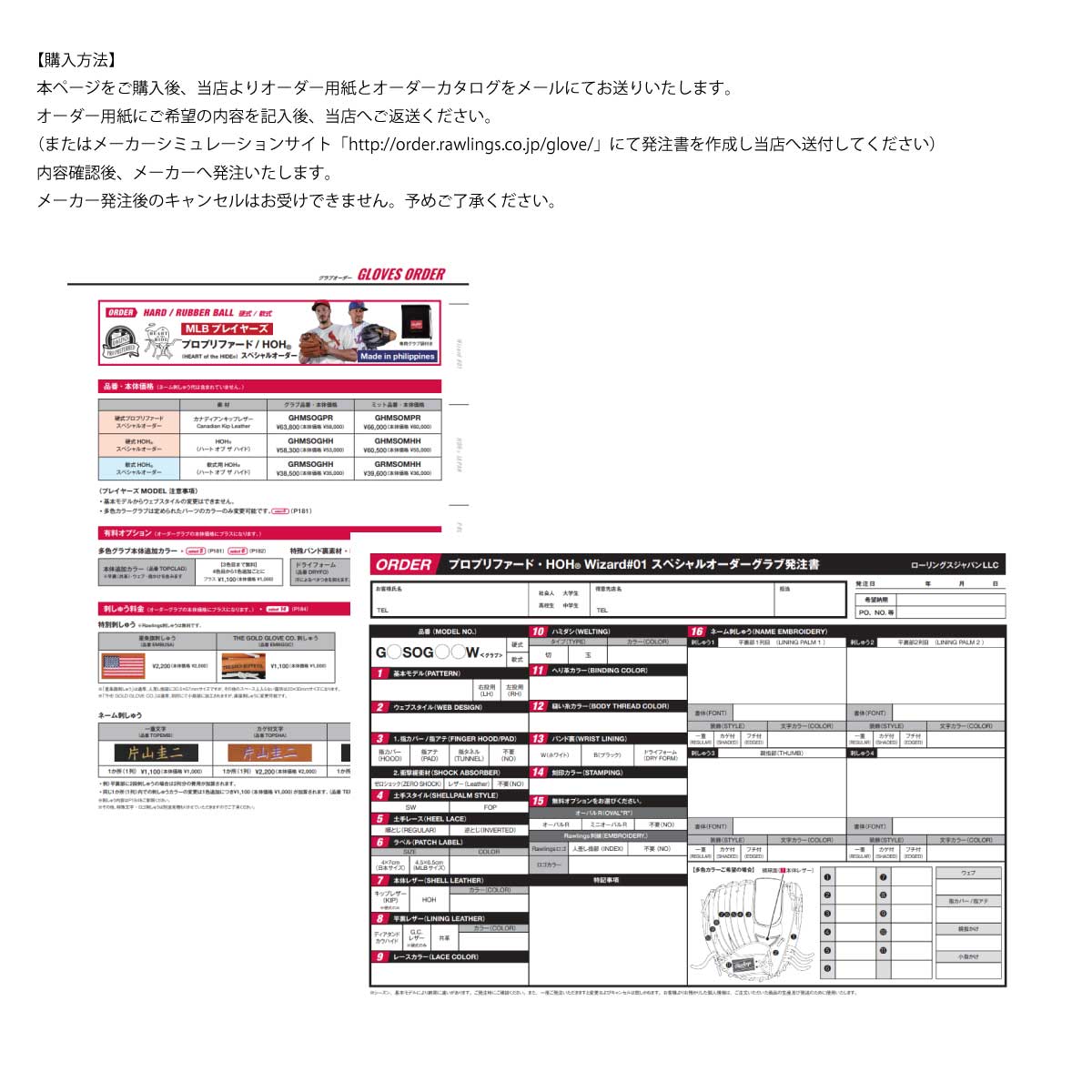 受注生産 硬式オーダーグラブ MLBプレイヤーズ HOH