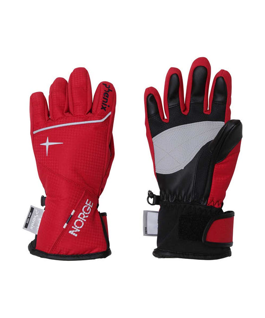 Norway Alpine Team Boys Gloves Junior Snow Gloves