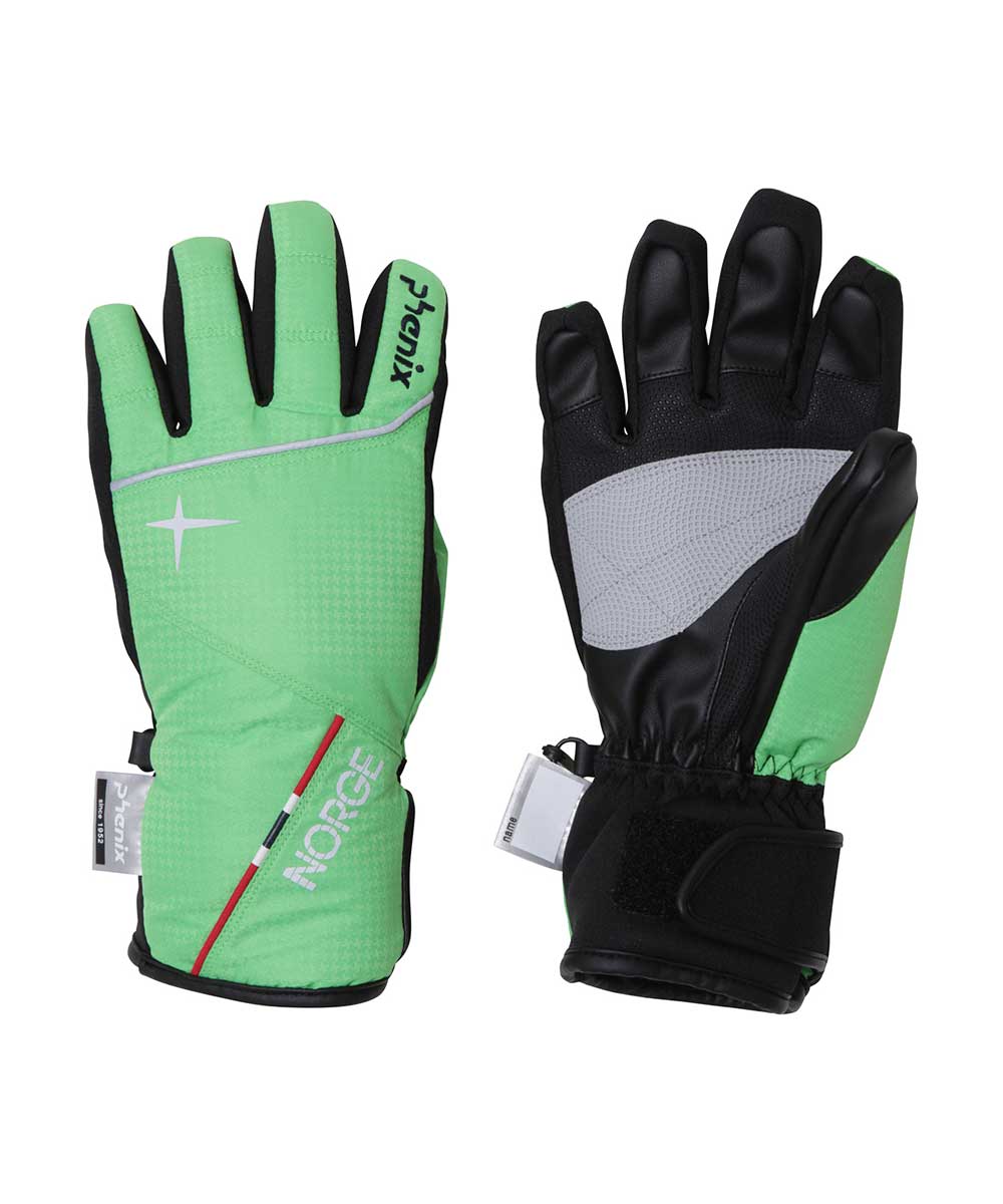 Norway Alpine Team Boys Gloves Junior Snow Gloves