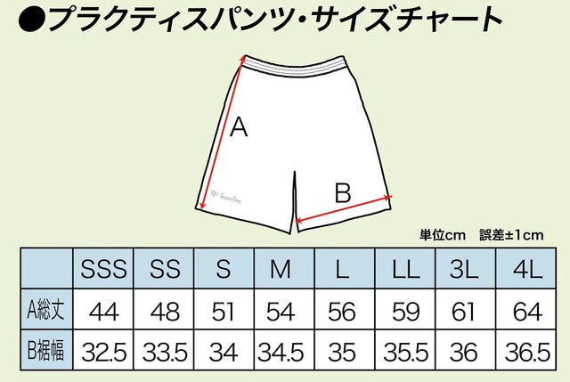 昇華 プラクティスパンツ プラパン バスケットパンツ パワーディフェンス