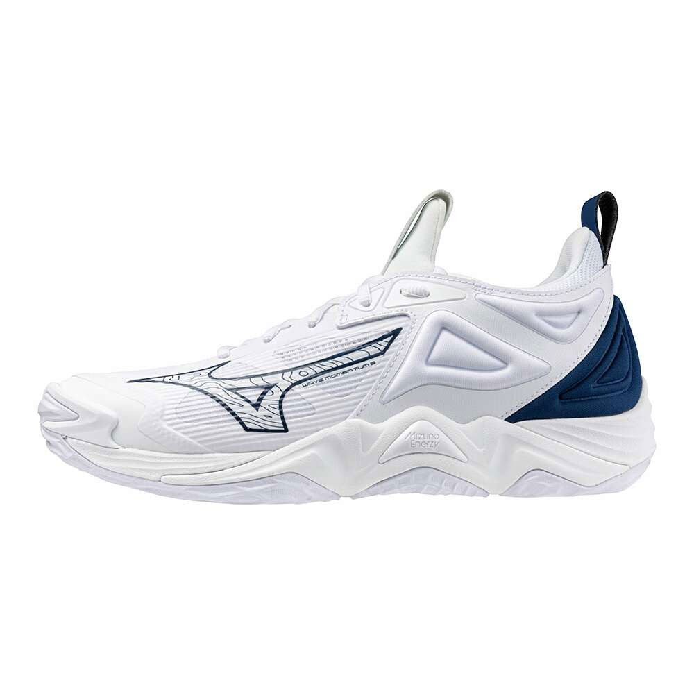 WAVE MOMENTUM 3 Volleyball Shoes for Men, Women and Unisex