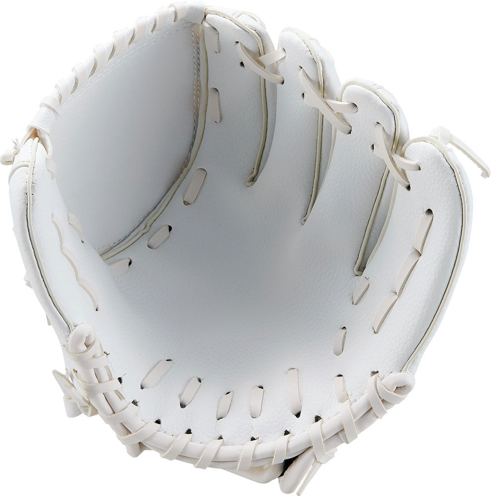 記念グローブ 野球 卒業 卒団 寄せ書き サイン用 – SPORTEC.JP